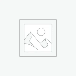 Essay Feedback Service